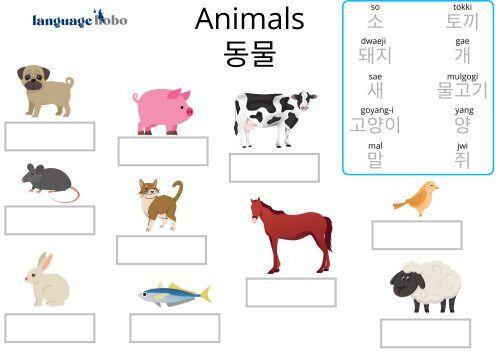 Korean Animals Worksheet1