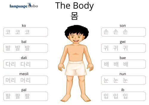 Korean Body Worksheet