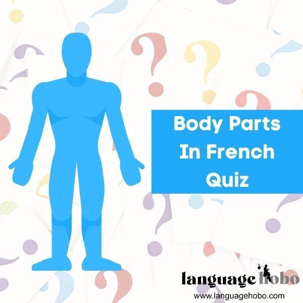 Body Parts in French Quiz