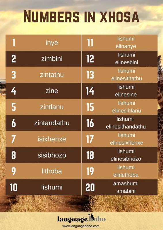 Numbers and counting in Xhosa