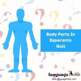 LH Quiz Covers - Esperanto Body Parts