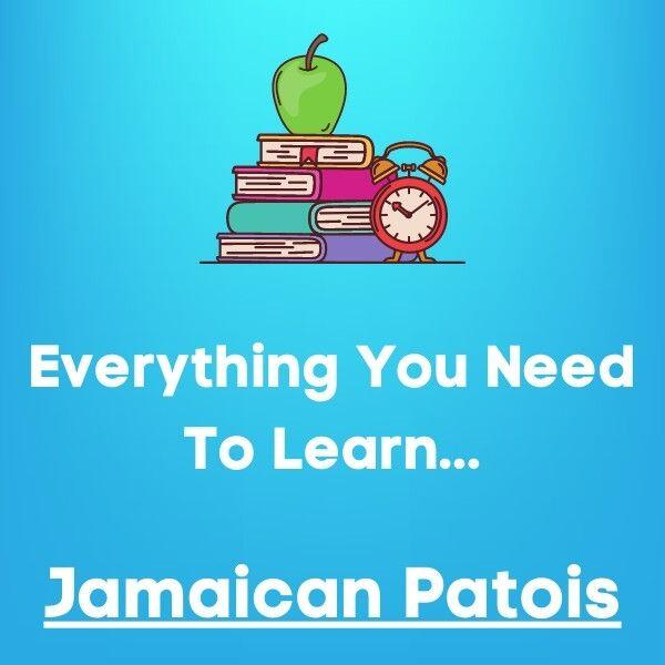 Everything You Need To Learn Jamaican Patois