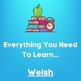 Everything you need to learn WELSH