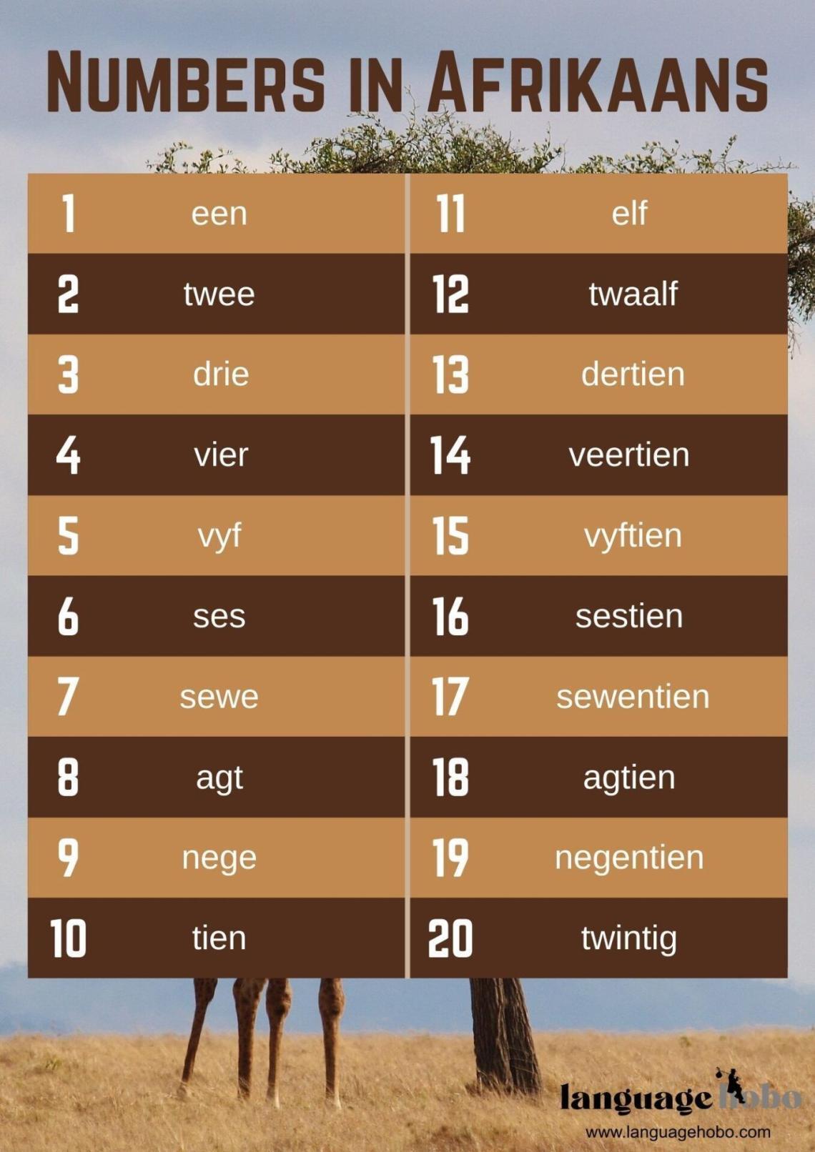 numbers-and-counting-in-afrikaans-language-hobo