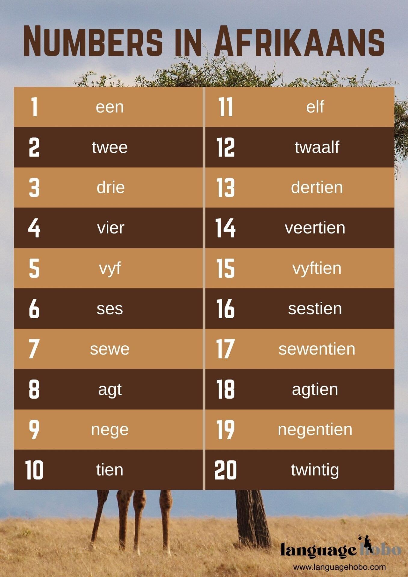 Numbers and counting in afrikaans poster