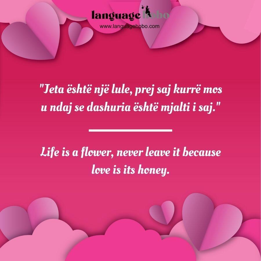 Albanian Love Quotes 5