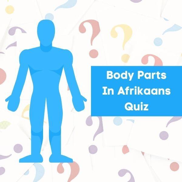 Body Parts In Afrikaans Quiz