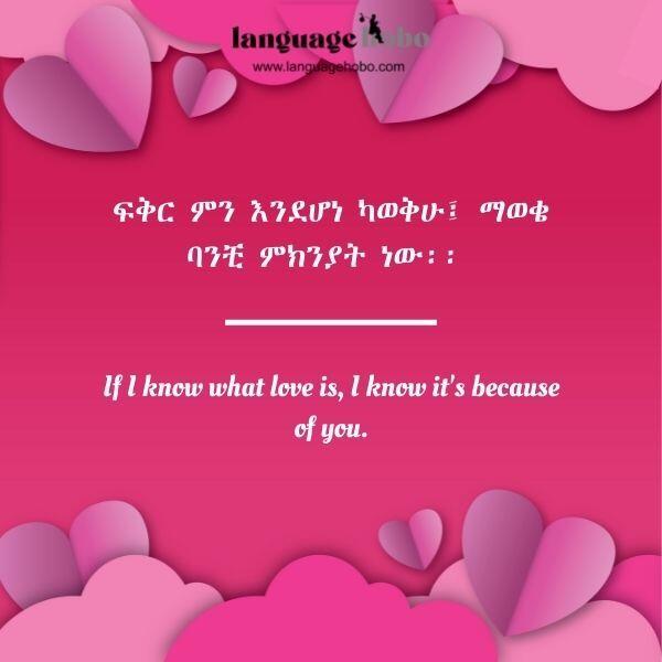 Amharic love quotes 2