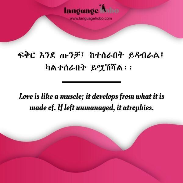 Amharic love quotes 3