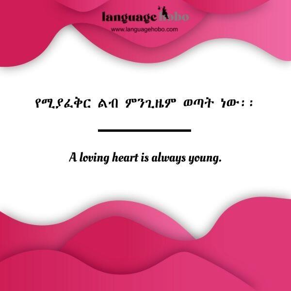 Amharic love quotes 6