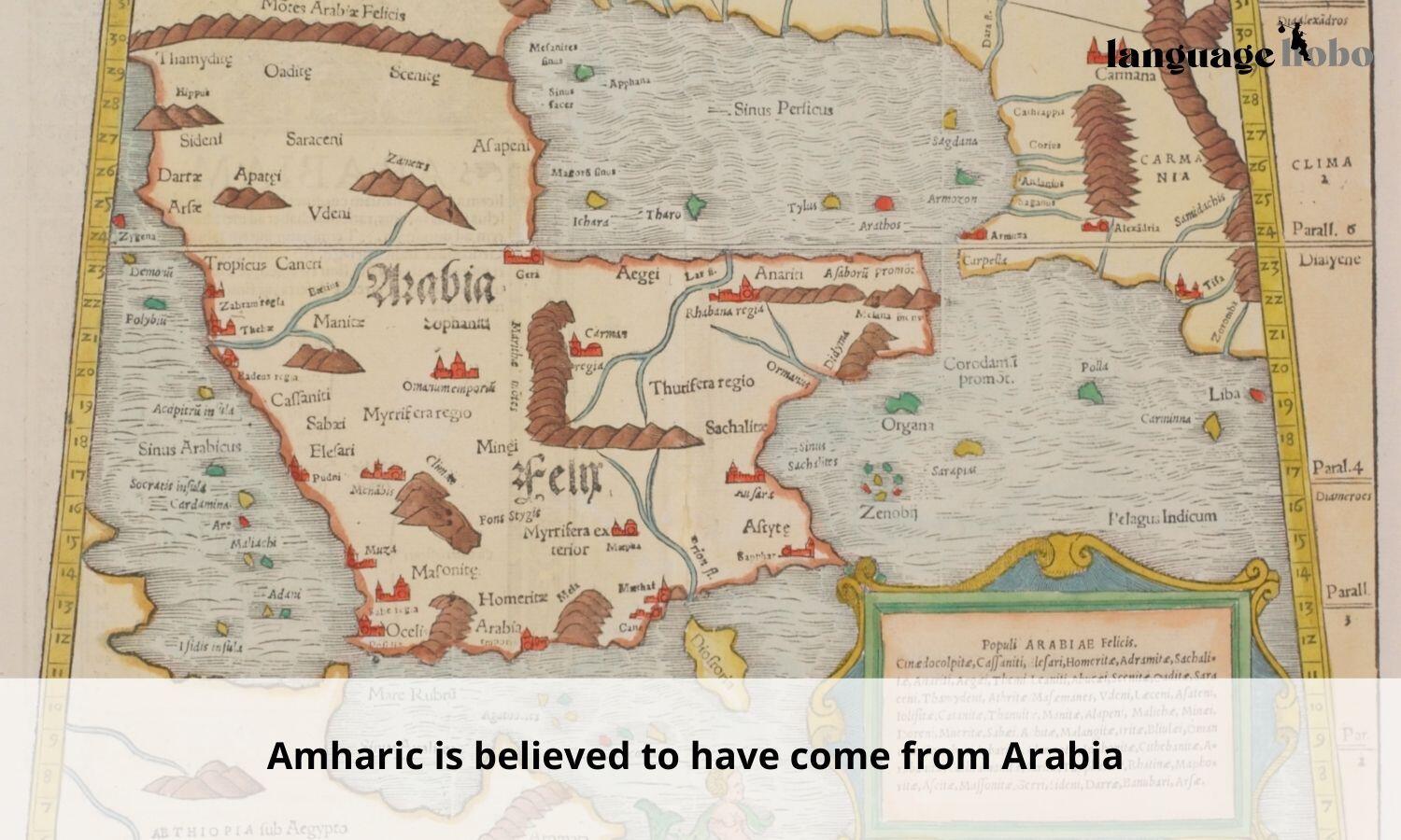 Amharic originated in Arabia
