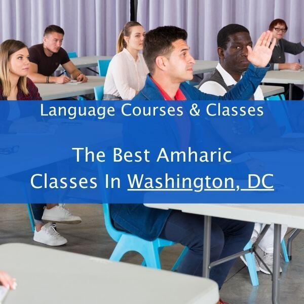 Best amharic classes in DC