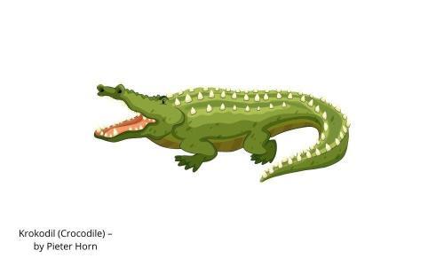 Crocodile afrikaans poem