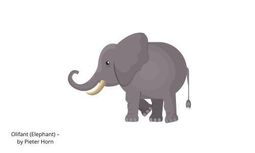 Elephant afrikaans poem