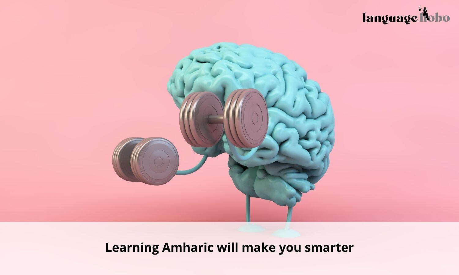 Learning amharic makes you smarter