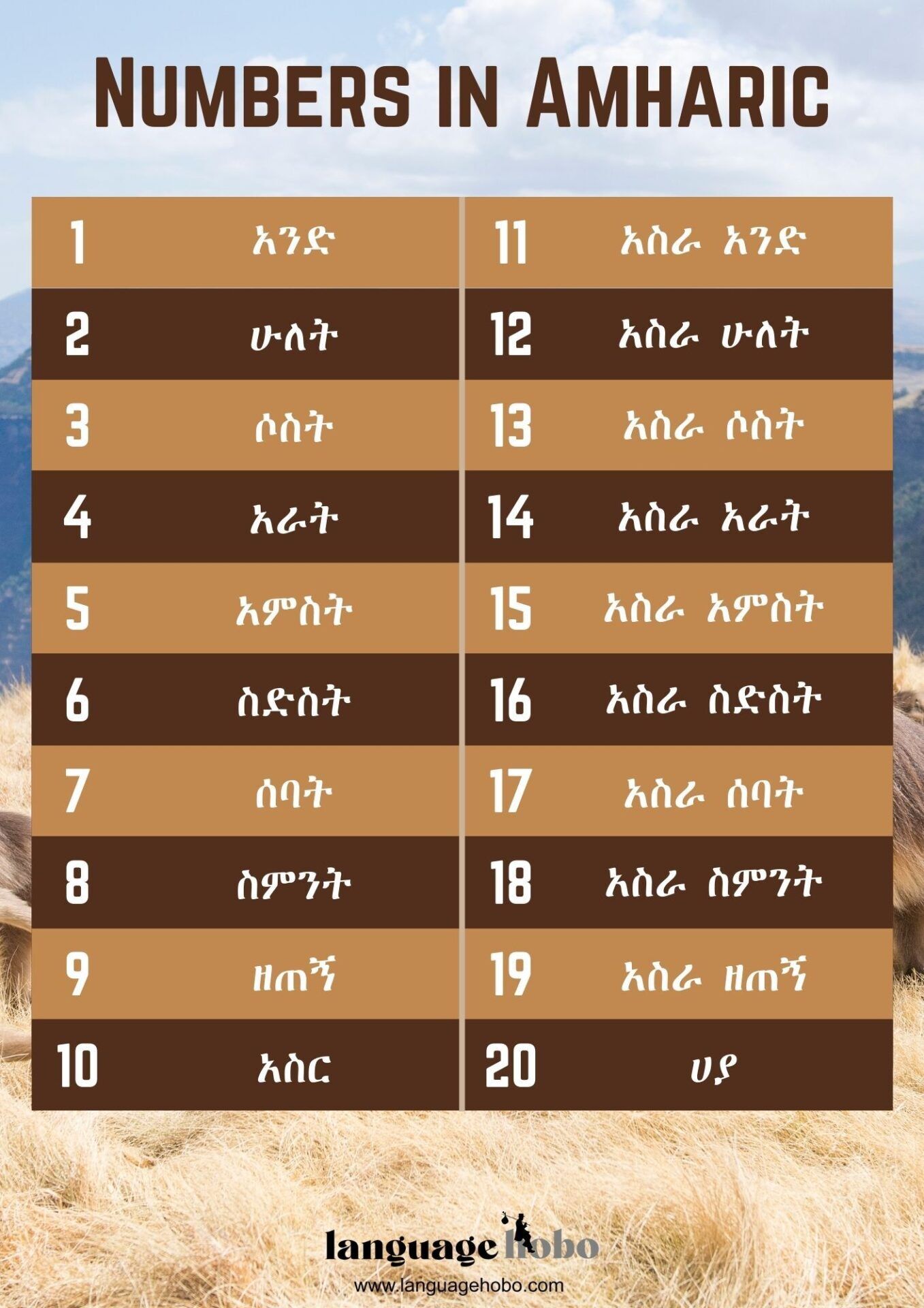Numbers in Amharic poster