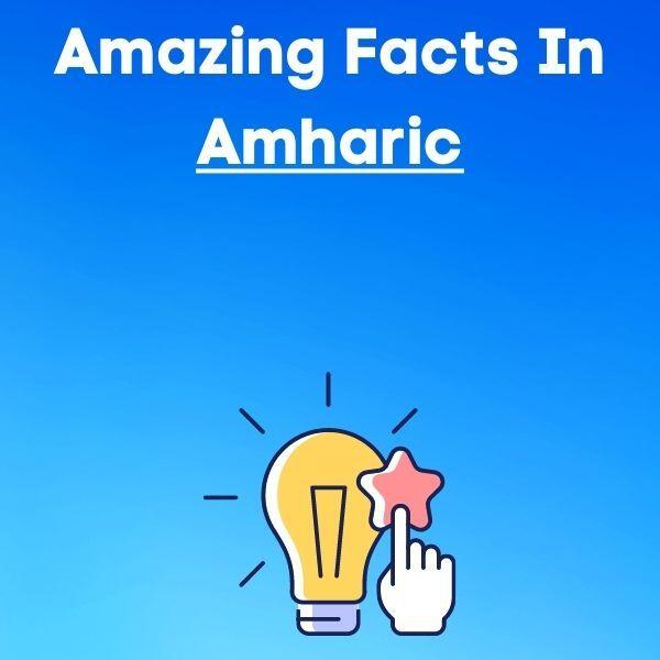 24 Amazing Facts In Amharic For Beginners (With Audio)