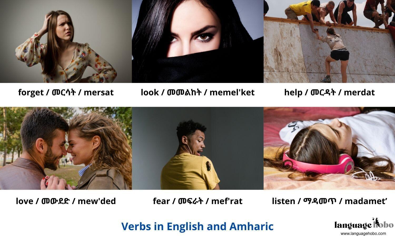 Amharic verbs 3