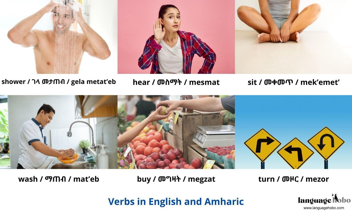 Amharic verbs 5