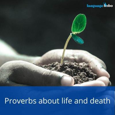 Proverbs about life and death