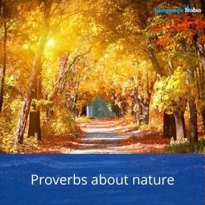 Proverbs about nature