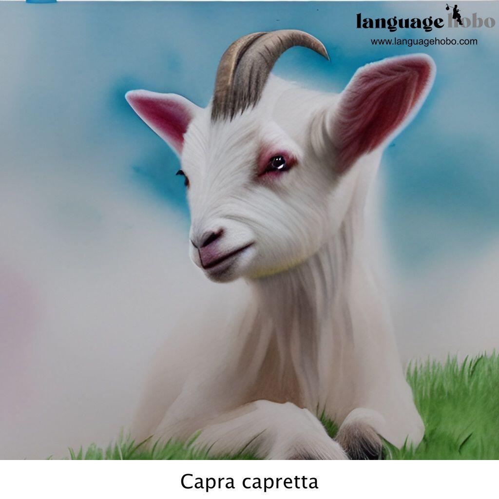 Capra capretta - Italian nursery rhyme