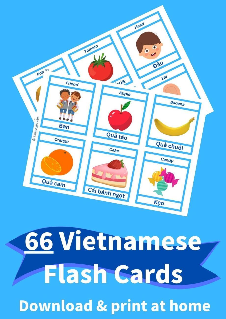 Printable VIETNAMESE Flashcards [PDF Download] – Language Hobo