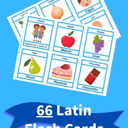 Printable Latin flashcards
