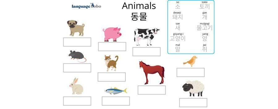 Korean Worksheets for Beginners: Animals [FREE PDF DOWNLOAD]