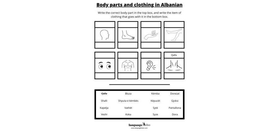 Worksheet: Body parts and clothing in Albanian [FREE PDF download]